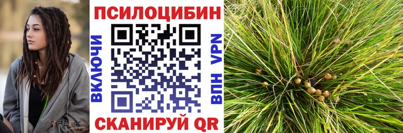 Галлюциногенные грибы Cubensis  Миллерово 